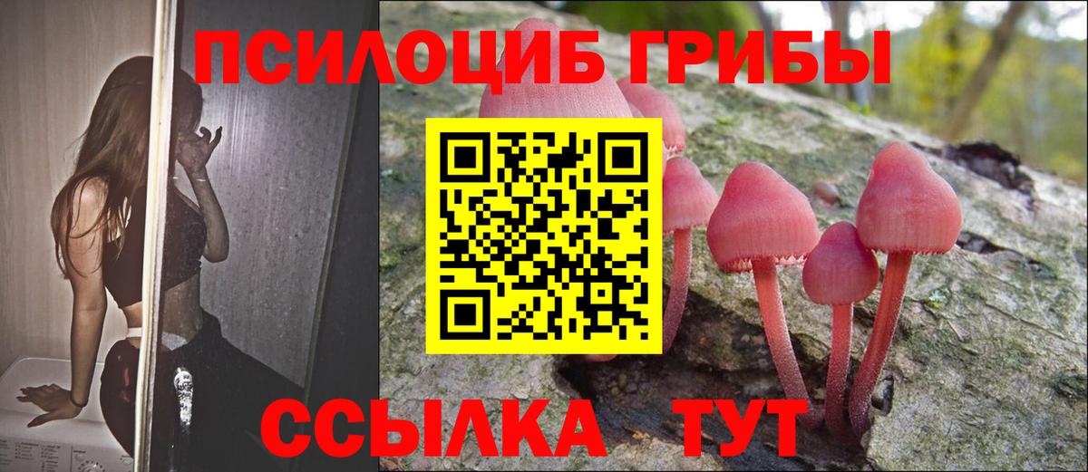 Галлюциногенные грибы GOLDEN TEACHER  Псилоцибиновые грибы ЛСД  Борзя  Вход с VPN 
